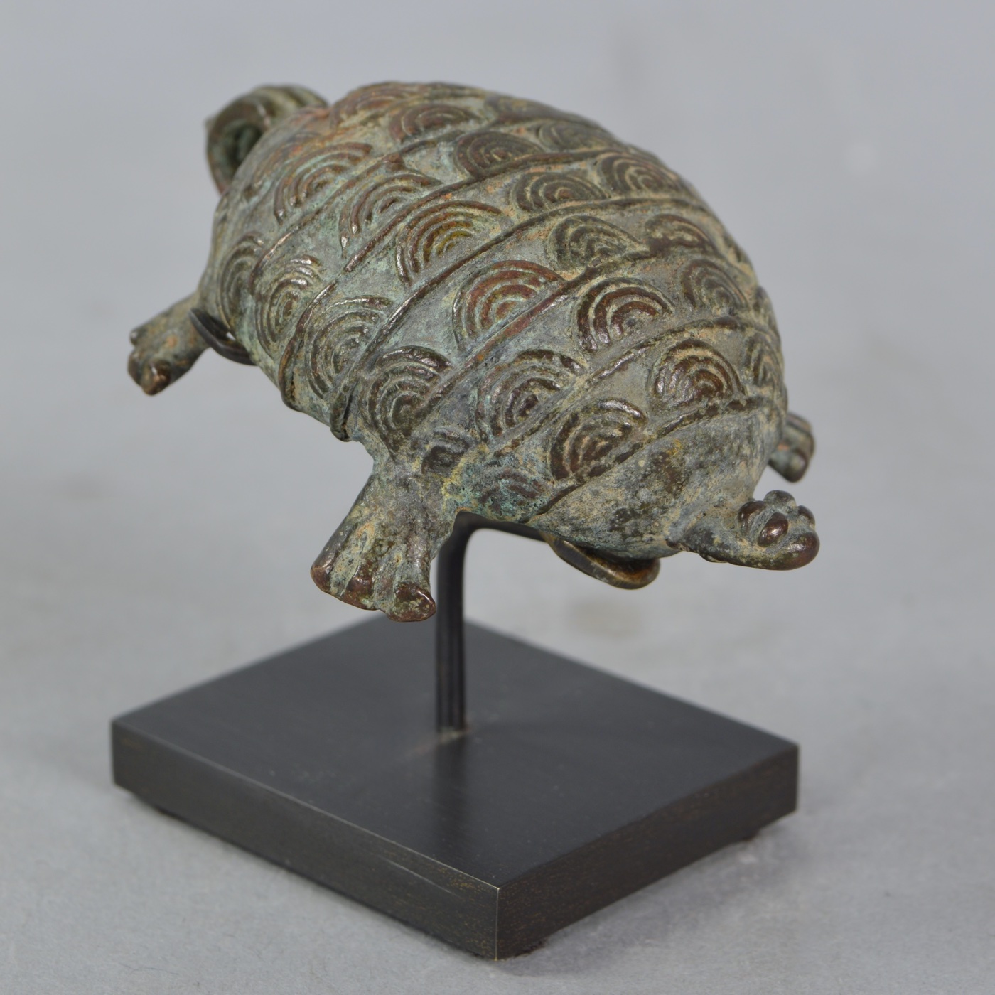 Gurunsi Turtle